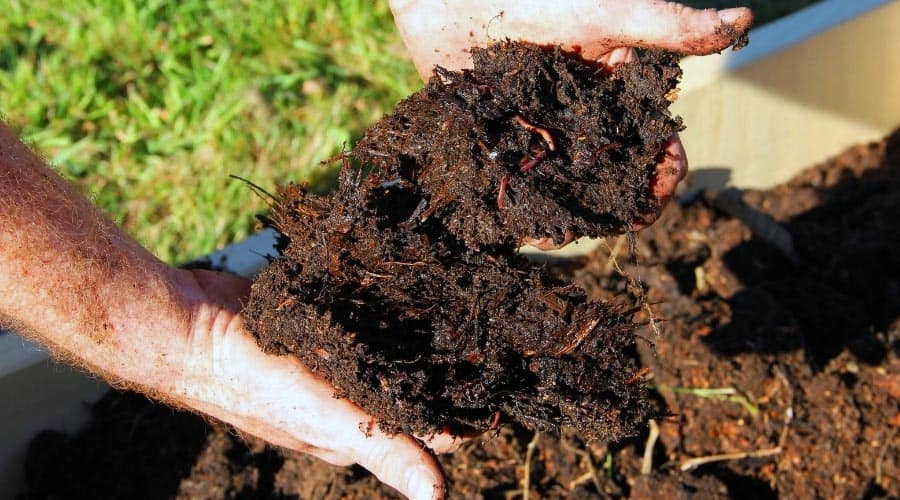 Best Bagged Compost For Vegetable Garden Ers Guide Fun In The Yard - Best Compost For Vegetable Garden