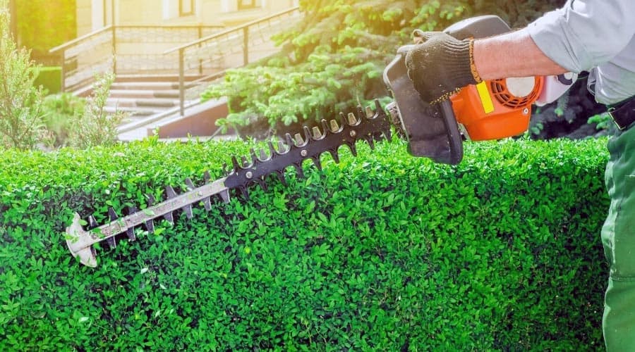 Best Type Of Hedge Trimmer
