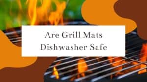 Are Grill Mats Dishwasher Safe Big 300x167 