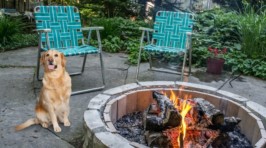 Are Fire Pits Safe For Dogs Fun In, Are Fire Pits Bad For Lungs