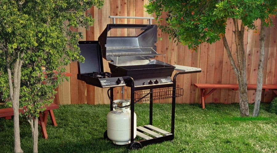 Can You Grill Under a Tree