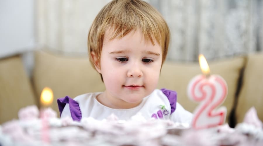 December Birthday Party Ideas For 2 Year Old
