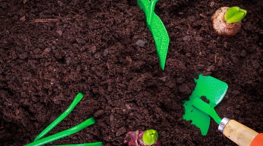 Does Garden Soil Have Fertilizer