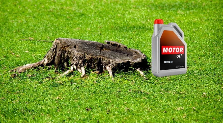 Killing Tree Stumps With Motor Oil