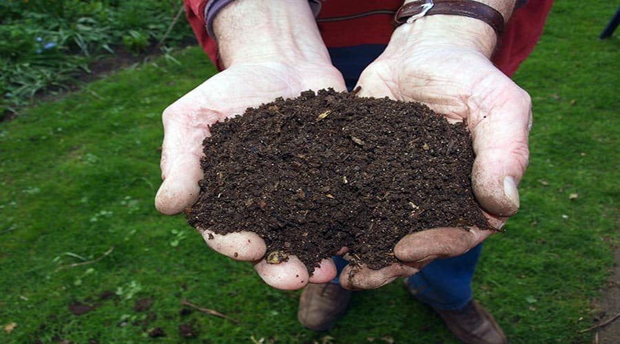 Best Bagged Compost For Vegetable Garden: Buyers Guide | Fun In The Yard Best Bagged Compost For Vegetable Garden