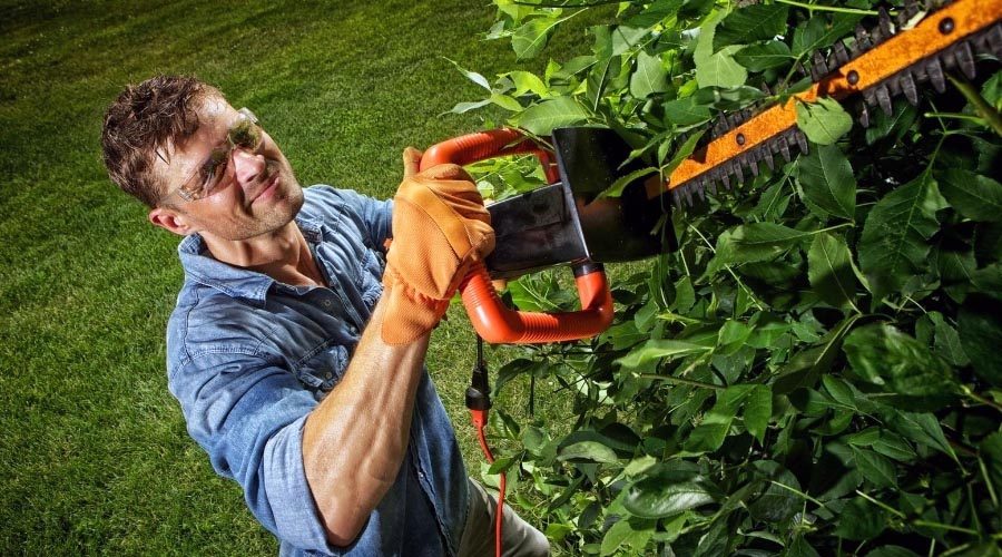How To Trim Bushes With Electric Trimmer
